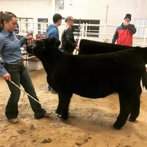 Meet your Posher, Lexi